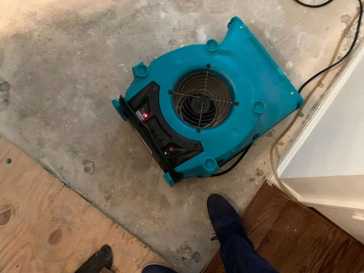 Air mover drying subfloor during Leak Detection & Repair in Center Line